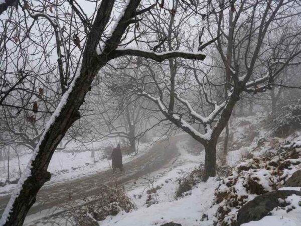 Kashmir's Month-Long Dry Spell Broken By Fresh Snowfall; New Year Could Begin on Dry Note