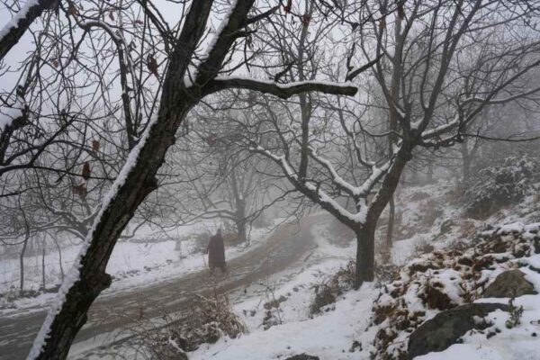 Kashmir's Month-Long Dry Spell Broken By Fresh Snowfall; New Year Could Begin on Dry Note
