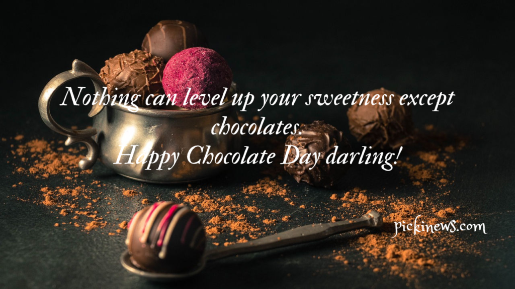 Happy Chocolate Day 2023: Messages, Wishes and Quotes
