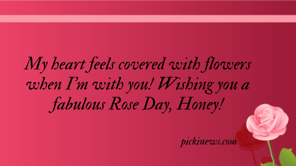 Rose Day Quotes, Wishes and Messages