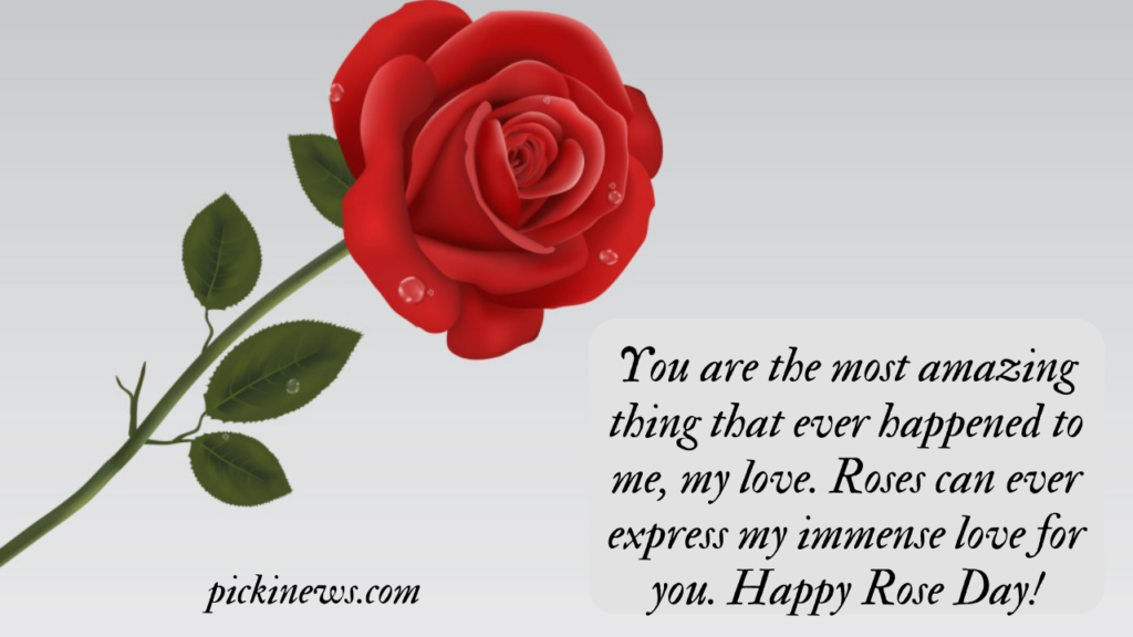 Rose Day Quotes, Wishes and Messages