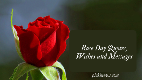 Rose Day Quotes, Wishes and Messages