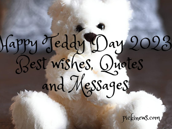 Happy Teddy Day 2023: Best wishes, Quotes  and Messages