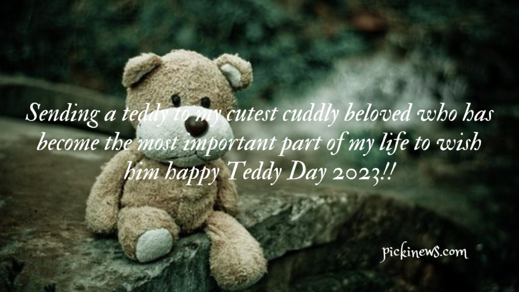 Happy Teddy Day 2023: Best wishes, Quotes  and Messages