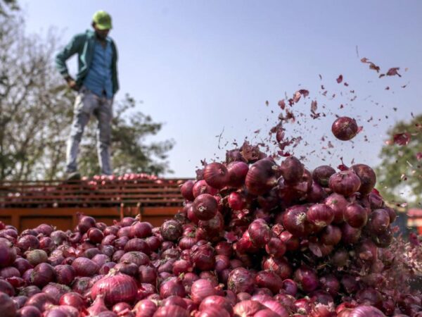 Centre steps in as onion prices plummet due to supply surplus
