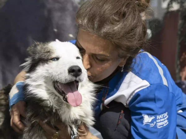 Rescuers Save Trapped Dog 3 Weeks After Turkey Quake