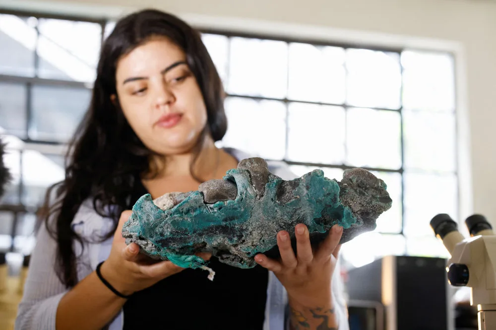 Brazilian researchers find ‘terrifying’ plastic rocks on remote island