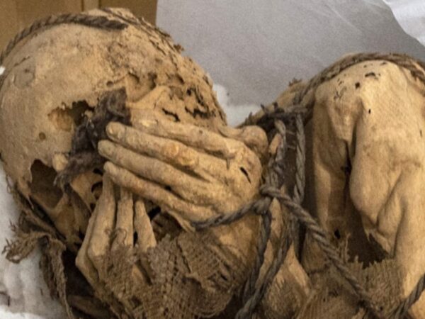 "It's My Girlfriend": Peru Man Found With 800-Year-Old Mummy In Bag
